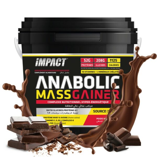 ISN - Anabolic Mass Gainer