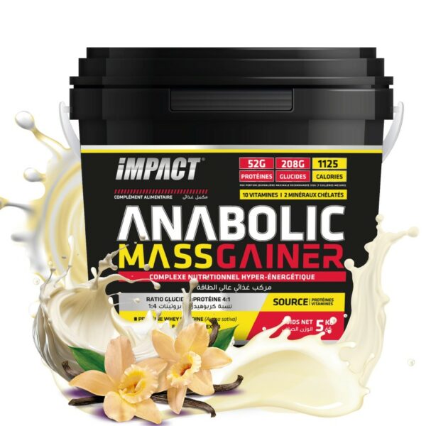 ISN - Anabolic Mass Gainer - Image 4