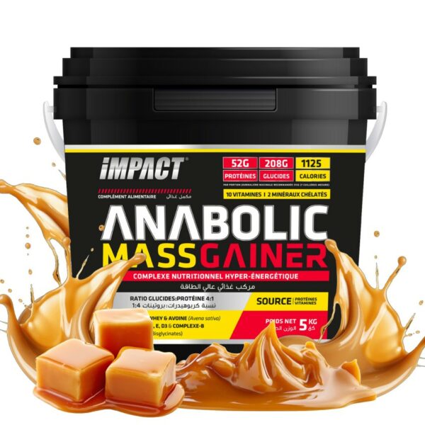 ISN - Anabolic Mass Gainer - Image 5